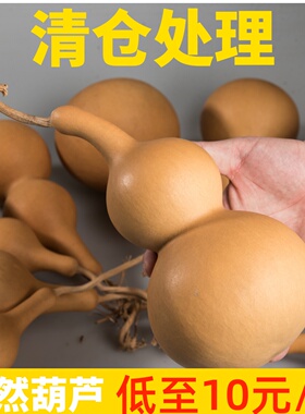 天然真小开口葫芦挂件吊顶装饰烙画练手工艺术品木胡葫芦摆件