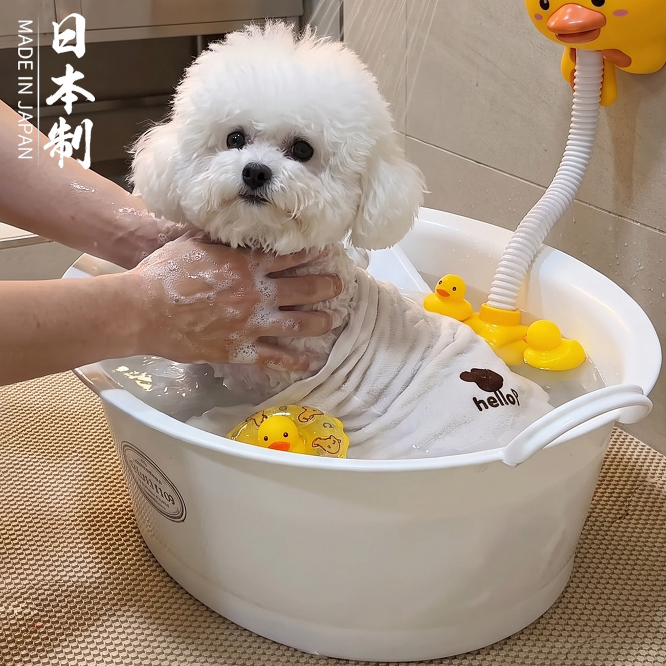 日本进口宠物狗狗洗澡盆小狗猫咪专用浴盆比熊排水带小型犬泡澡桶