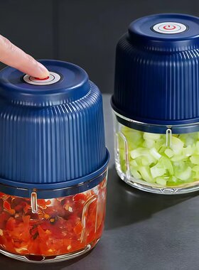 日本电动迷你绞蒜器搅肉机