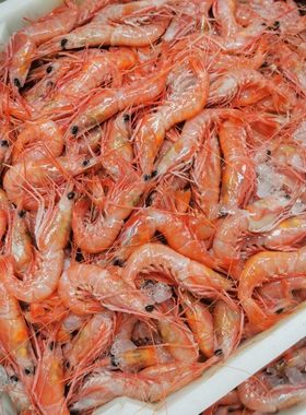 红虾东海台州特色纯野生海鲜新鲜海捕船冻小红虾红绿头海虾顺丰