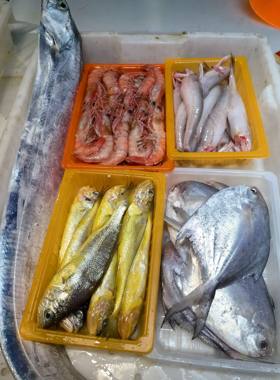 台州松门东海小网海鲜家庭小套餐带鱼黄鱼鲳鱼龙头鱼虾水潺顺丰