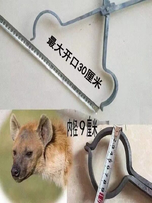 手工锻打狗钳夹子养狗打疫苗防狗咬加粗加重加长多功能狗铁夹子