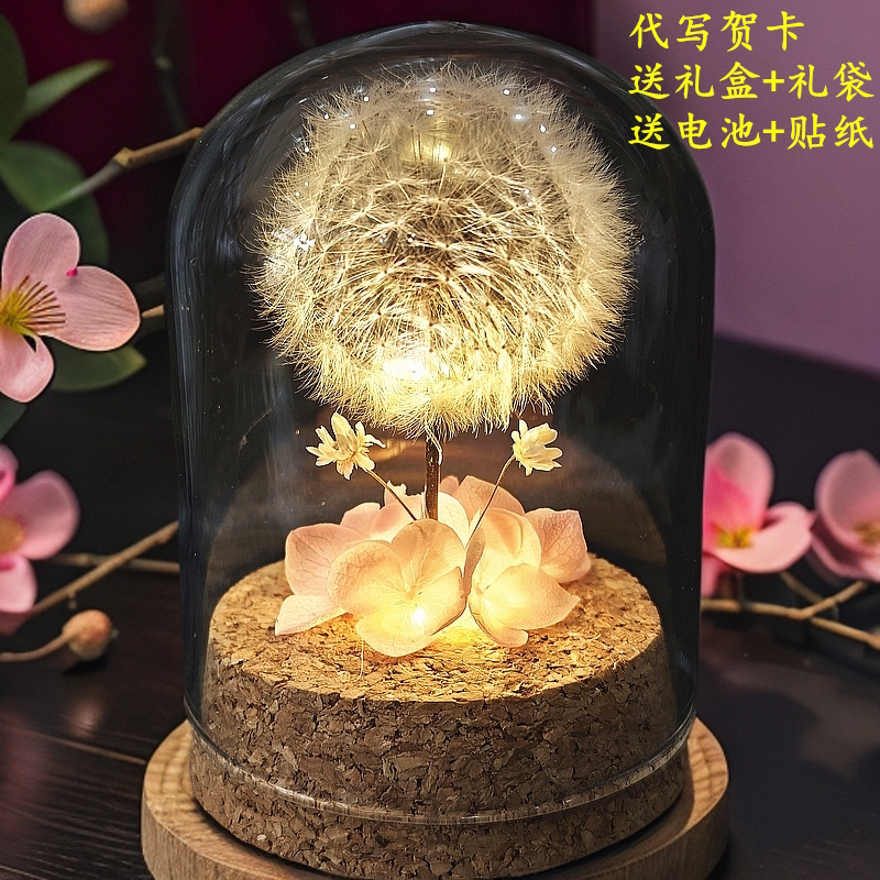 永生花蒲公英防尘罩送女朋友圣诞永生花