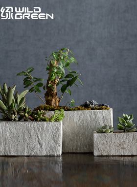 卫绿创意北欧长方形仿石透气绿萝多肉蝴蝶兰文竹水泥花盆大号室内