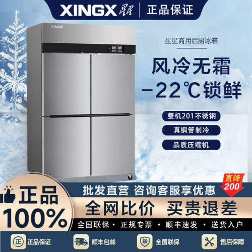 星星商用立式无霜冰柜-22℃锁鲜