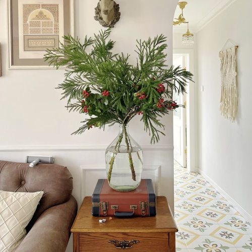 水培天竺少女松新鲜鲜切圣诞树歪脖子装扮diy包圣诞花环懒人绿植