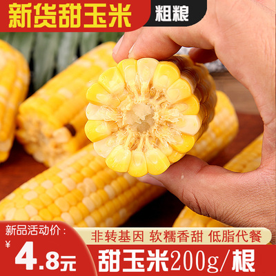 甜玉米真空吉林软糯香甜杂粮