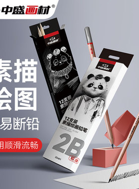 中盛画材 铅笔素描笔套装专业绘画初学者全套美术生专用2468B炭笔