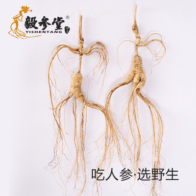 单支10克包邮特价林下参