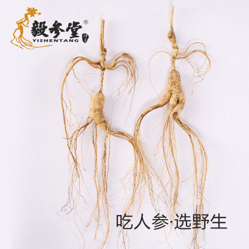 单支10克包邮特价林下参