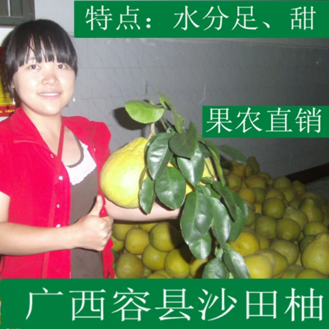 现货广西特产正宗容县沙田柚纯甜老树柚水果多省包邮8~9个礼盒,水产肉类/新鲜蔬果/熟食,柚子,淘宝优惠券,粉丝福利购,淘宝优惠卷