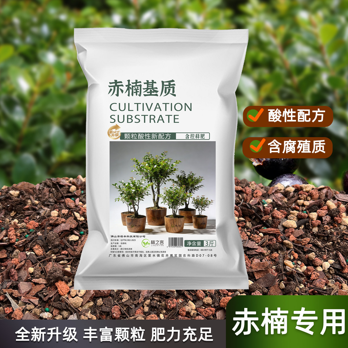 小叶赤楠专用土种植盆景颗粒土壤图片