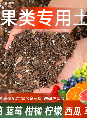 果类专用土种植果树柠檬营养土葡萄草莓西瓜腐殖土蓝莓酸性泥炭土