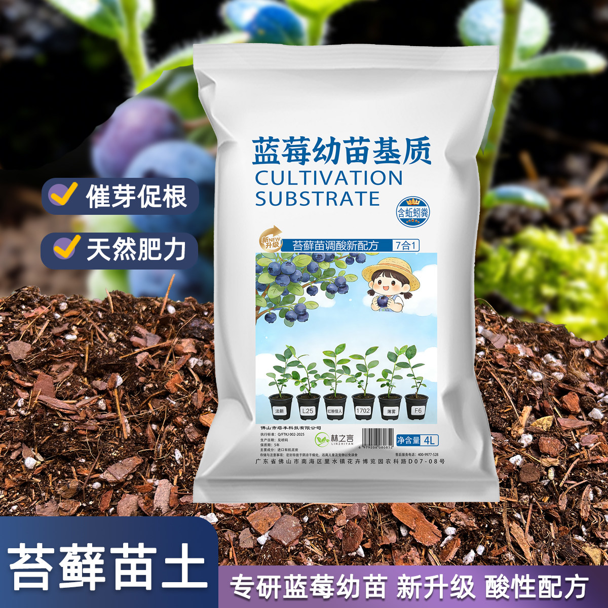 蓝莓营养土种植盆栽苔藓苗专用土小苗泥炭土有机酸性花泥果树土壤