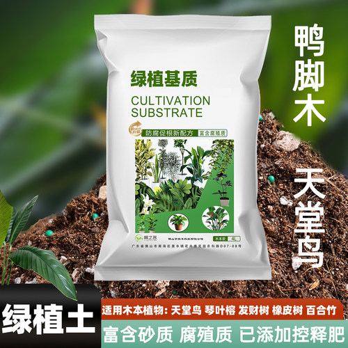 鸭脚木天堂鸟专用绿植营养土泥炭
