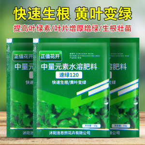 速绿120套餐壮苗叶绿素120蔬菜黄叶变绿叶面肥叶绿素
