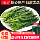 2025新茶上市正宗安徽黄山猴魁绿茶茶叶特级太平布尖礼盒罐装 250g