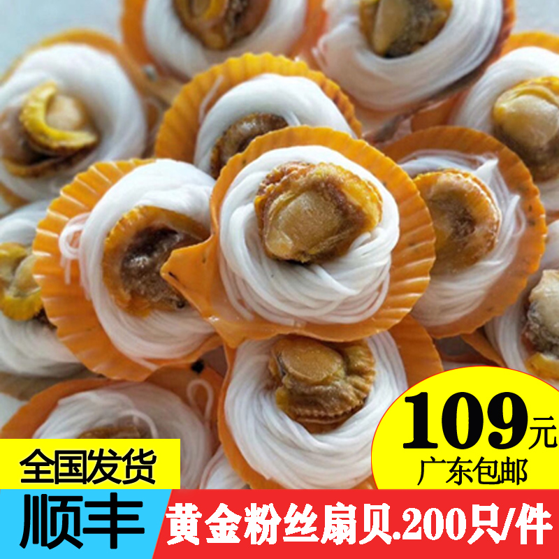 湛江黄金粉丝扇贝冷冻水产烧烤鲜活200只/件批量发货广东包邮