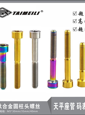 EFsolid钛合金螺丝圆柱头M5×30/35/40/50mm天平座管 码表螺丝