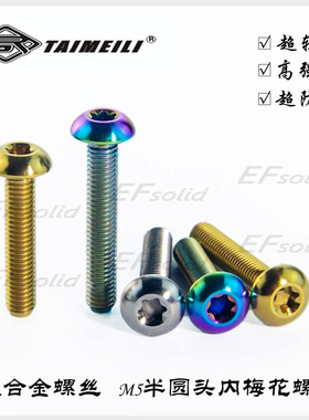 EFsolid钛合金螺丝半圆头梅花M5×12/15/20/25/30 骑行车修补螺丝