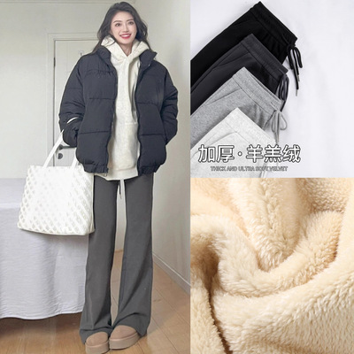 加绒微喇叭裤子女2025新款秋冬高腰休闲运动小个子加厚羊羔绒卫裤