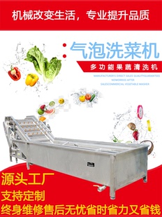 全自动洗菜机商用净菜蔬菜果蔬气泡清洗机商用净菜加工设备流水线