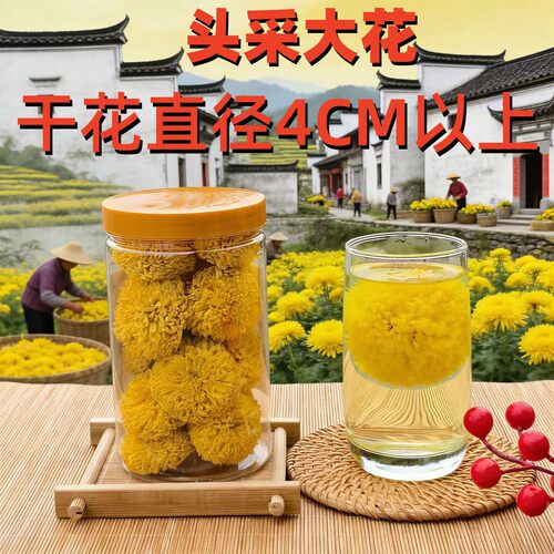 养生降火婺源菊花茶婺源清香甘甜