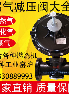 RTZ-FQ天然气减压阀调压器燃气调压阀80沼气管道50煤气减压阀工业