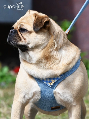 Веревка для собак, веревка для собак, регулирование маленького собачьего ремня плюшевая плюшка милая собачья грудь и спина