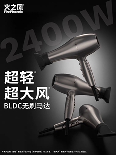 火之凤吹风机5610H发廊专用大功率理发店发型师电吹风大火力风筒