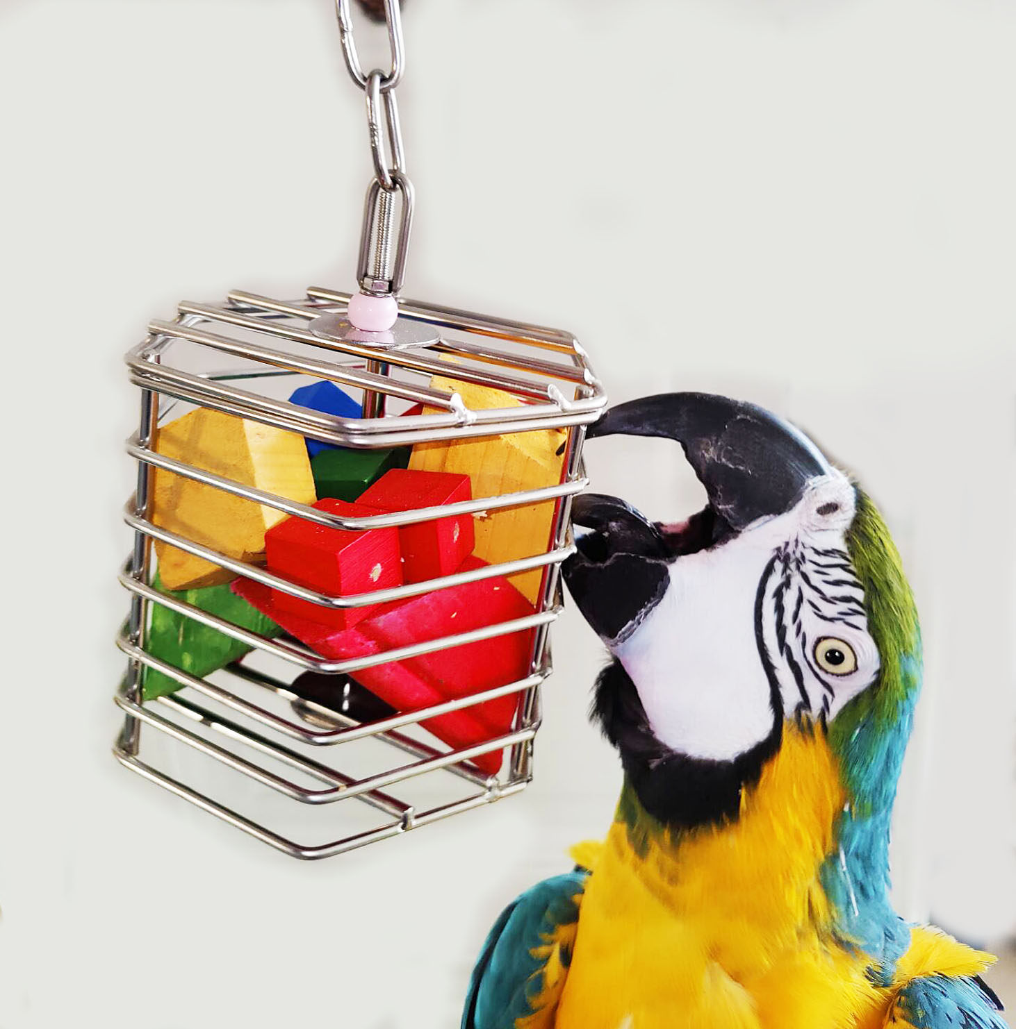 不锈钢中大型鹦鹉觅食玩具宠物鸟蔬菜水果笼大鸟笼挂件用品耐啃咬,宠物/宠物食品及用品,鸟玩具,淘宝优惠券,粉丝福利购,淘宝优惠卷