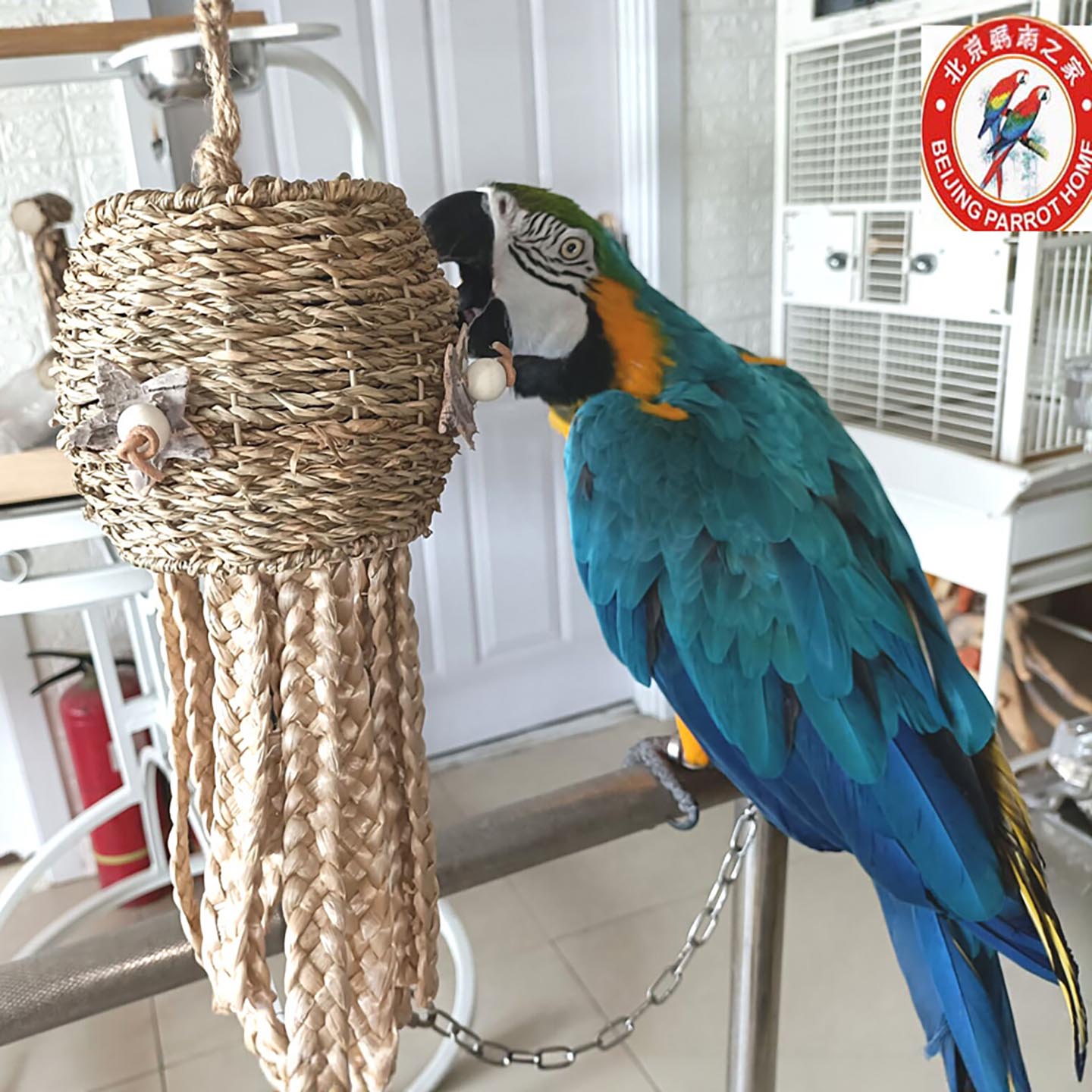 中大型鹦鹉啃咬玩具原色彩色草编玉米皮撕咬磨嘴挂串鸟用品笼配挂