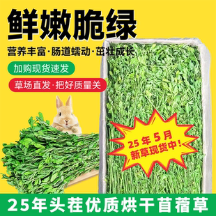 苜蓿草兔粮草兔子饲料干草幼兔荷兰猪龙猫专用吃 苜宿草食用牧草