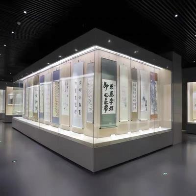 定制钢制电动门玻璃展示柜