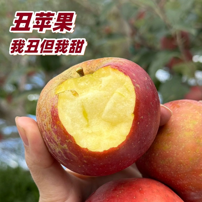 盐源高山早熟富士丑苹果新鲜脆甜当季果子脆甜冰糖心丑平果