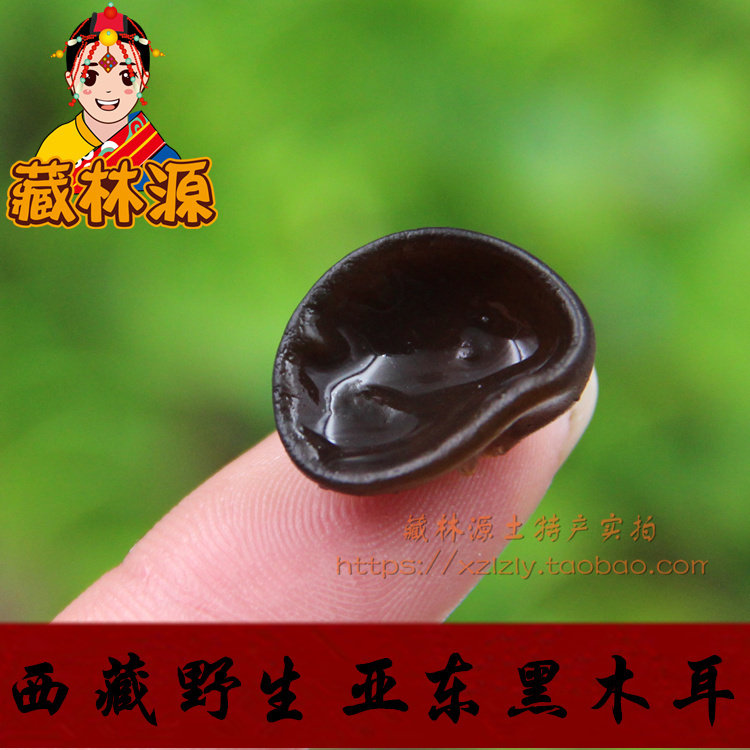 藏林源西藏特产亚东野珠黑木耳 碗耳云耳珍珠黑木耳秋耳 100g包邮