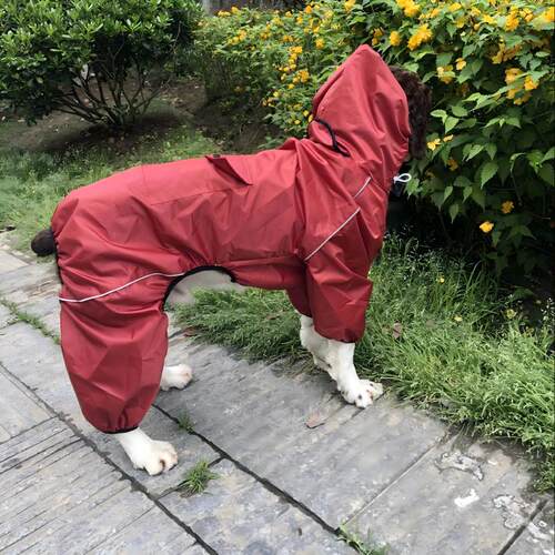 轻薄休闲时尚狗狗雨衣