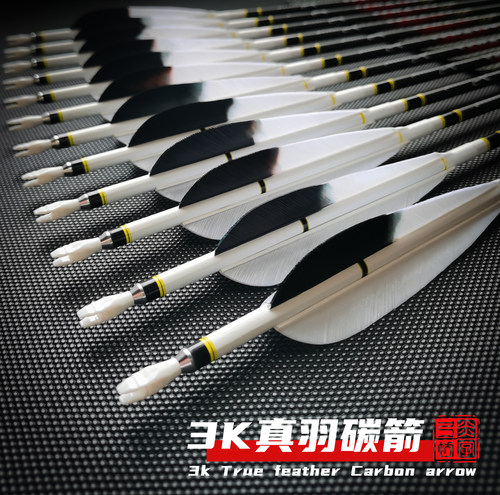 银翼超硬3K真羽纯碳碳箭射箭美猎