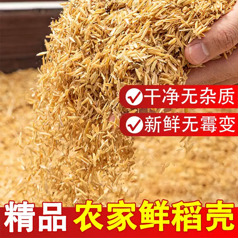 鲜稻壳北方优质新鲜水稻谷壳