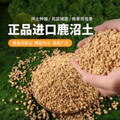 鹿沼土多肉植物营养土铺面石颗粒兰科栽培基质珍美多肉颗粒土