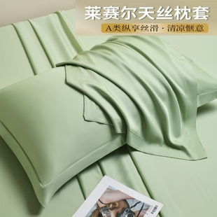 夏季凉感天丝枕套一对装家用48x74cm真丝酒店枕头内胆冰丝枕头套