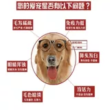 Порошок морских водорослей импортированные рыбные муки