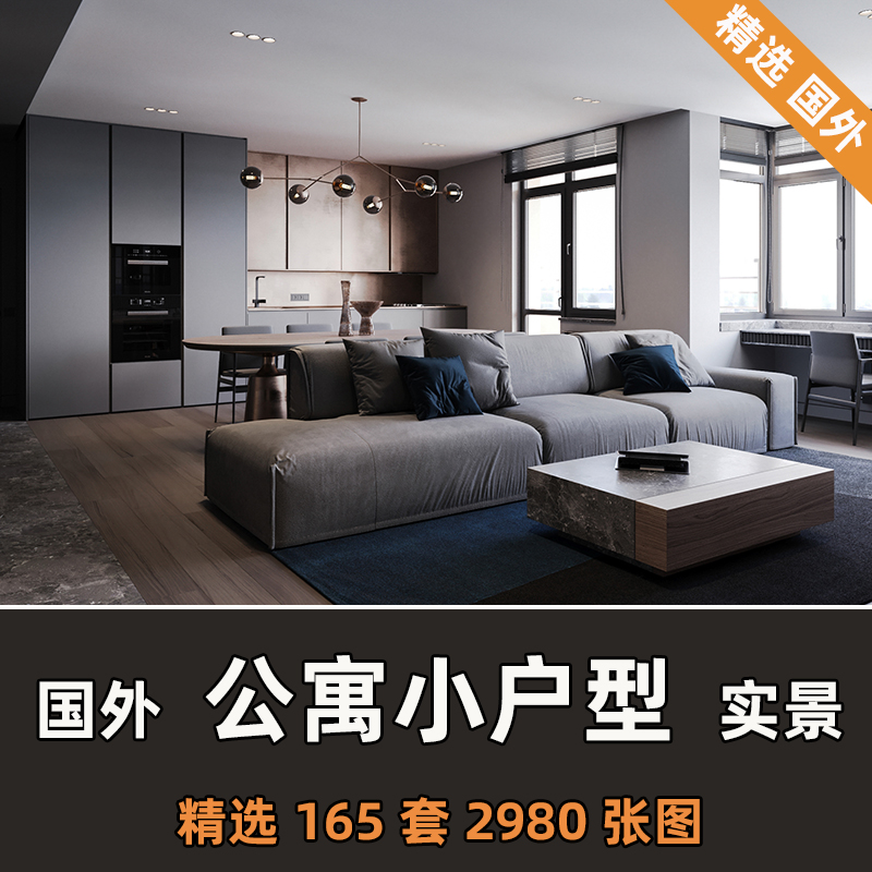 国外设计师案例单身公寓小户型装修效果实景图现代极简约轻奢风格