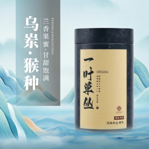 【老枞猴种】凤凰单枞茶乌岽单丛