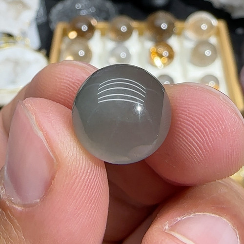 08开播福利13.6mm蓝兔毛