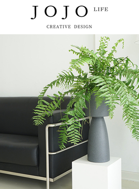 JOJO'S L. PD.conform.北欧创意落地高盆大号异形轻奢花盆 | 顺应