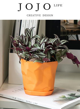 JOJO'S L. PD.gaze.北欧简约桌面多肉小花盆塑料大号新款| 望稿