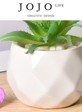 JOJO'S L. PD.Arrow.白色拇指多肉陶瓷花盆简约仿真多肉 | 龄箭