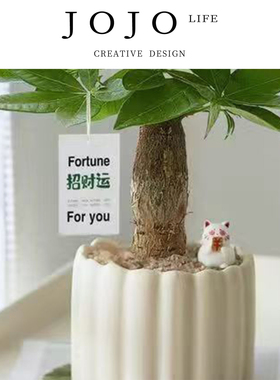 JOJO'S L. PD.Braking.绿植发财树盆栽办公室桌面客厅创意 | 刹石