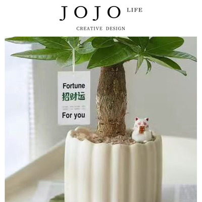 JOJO'SLIFEPD绿植招财盆栽解压